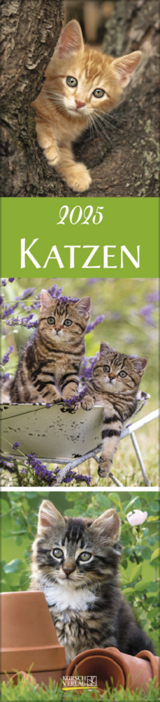 Cover: 9783731877301 | Katzen Langplaner 2025 | Langplaner | Korsch Verlag | Kalender | 13 S.