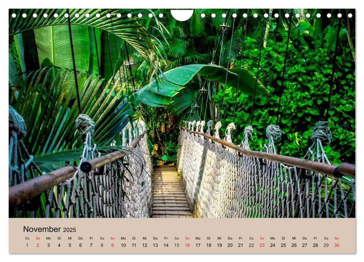 Bild: 9783435720507 | Brasilien. Impressionen (Wandkalender 2025 DIN A4 quer), CALVENDO...