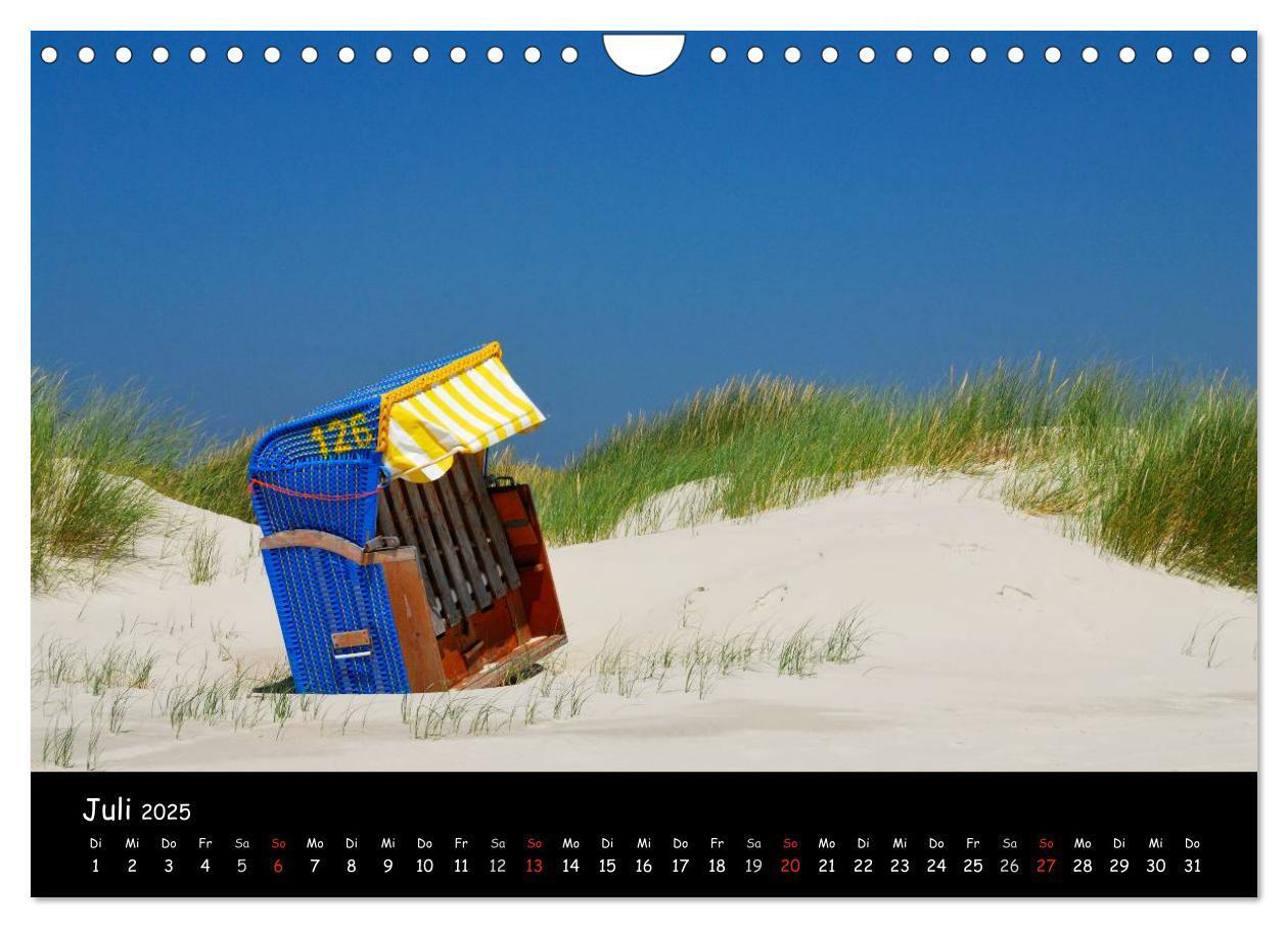 Bild: 9783435827671 | Amrum (Wandkalender 2025 DIN A4 quer), CALVENDO Monatskalender | 2025