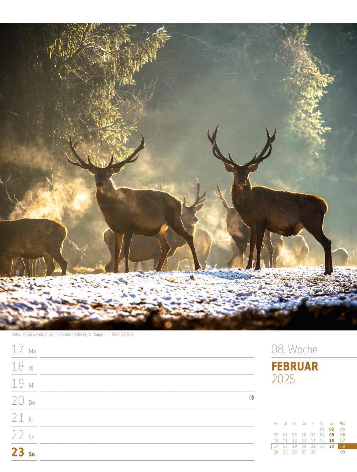 Bild: 9783838435275 | Abenteuer Deutschland - Naturparadiese Wochenplaner Kalender 2025