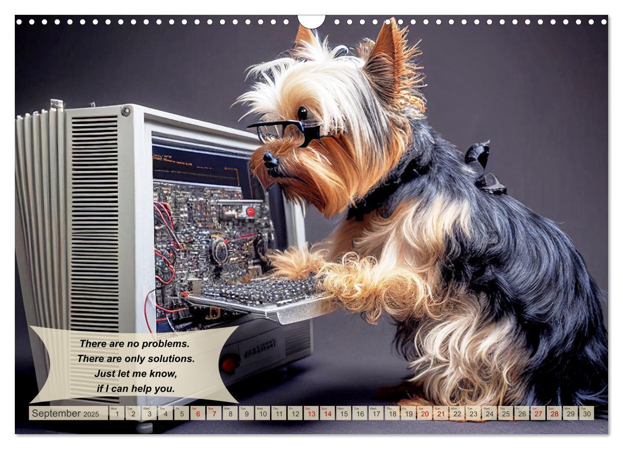 Bild: 9781325986026 | Great fun for Yorkshire Terrier lovers (Wall Calendar 2025 DIN A3...