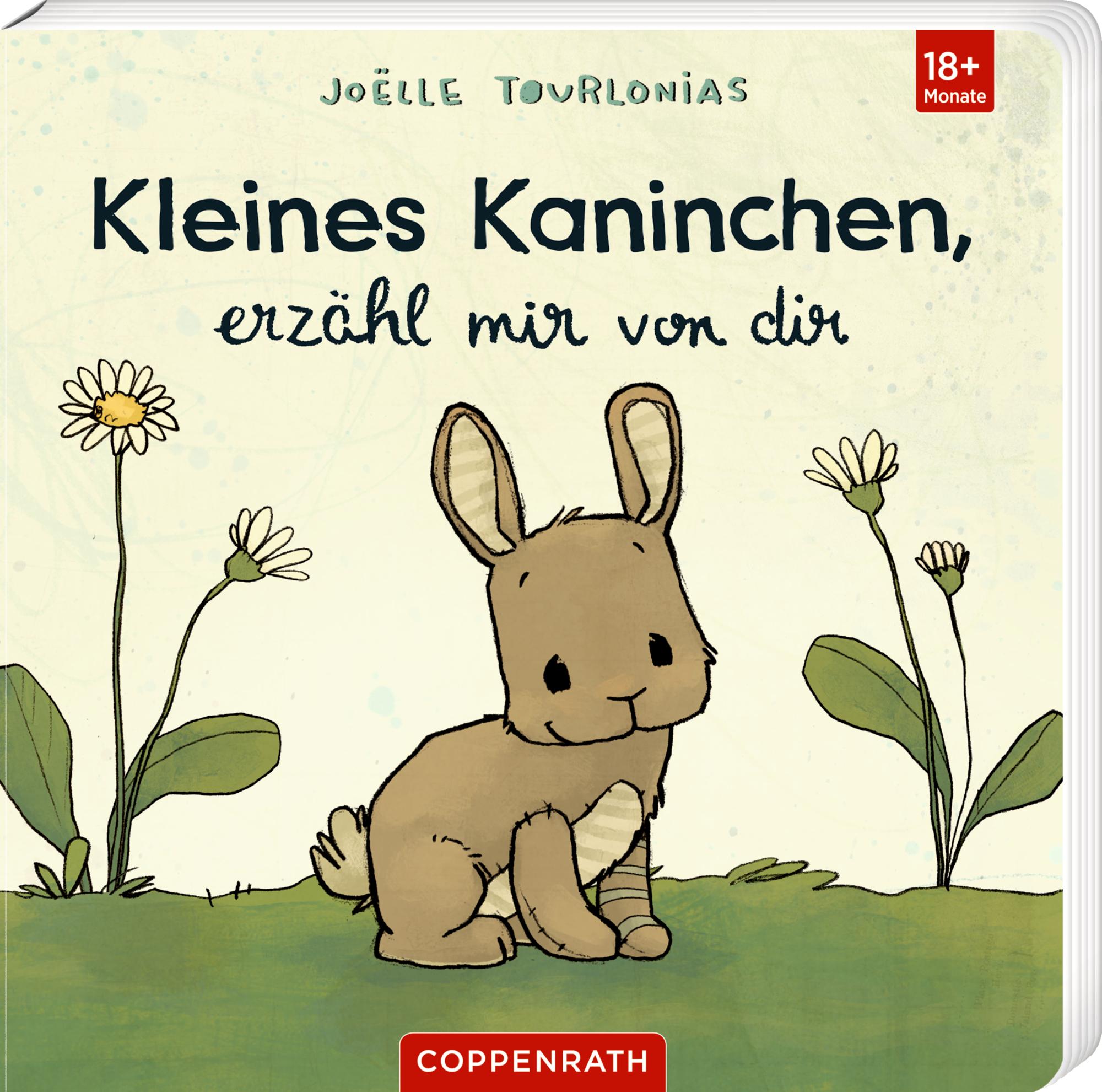 Cover: 9783649649274 | Kleines Kaninchen, erzähl mir von dir | Liebling | Joëlle Tourlonias