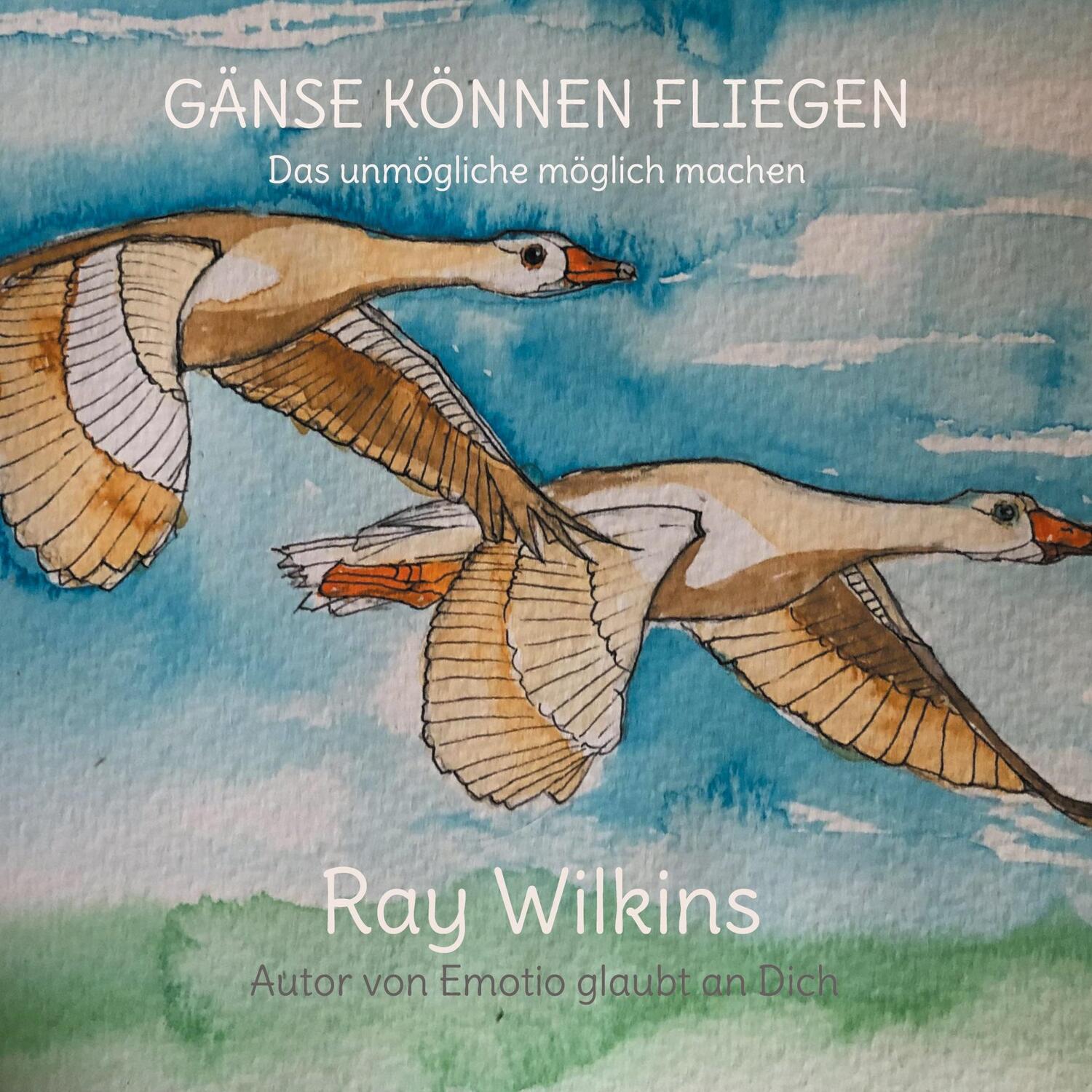 Cover: 9783754322963 | Gänse können fliegen | Das unmögliche möglich machen | Ray Wilkins