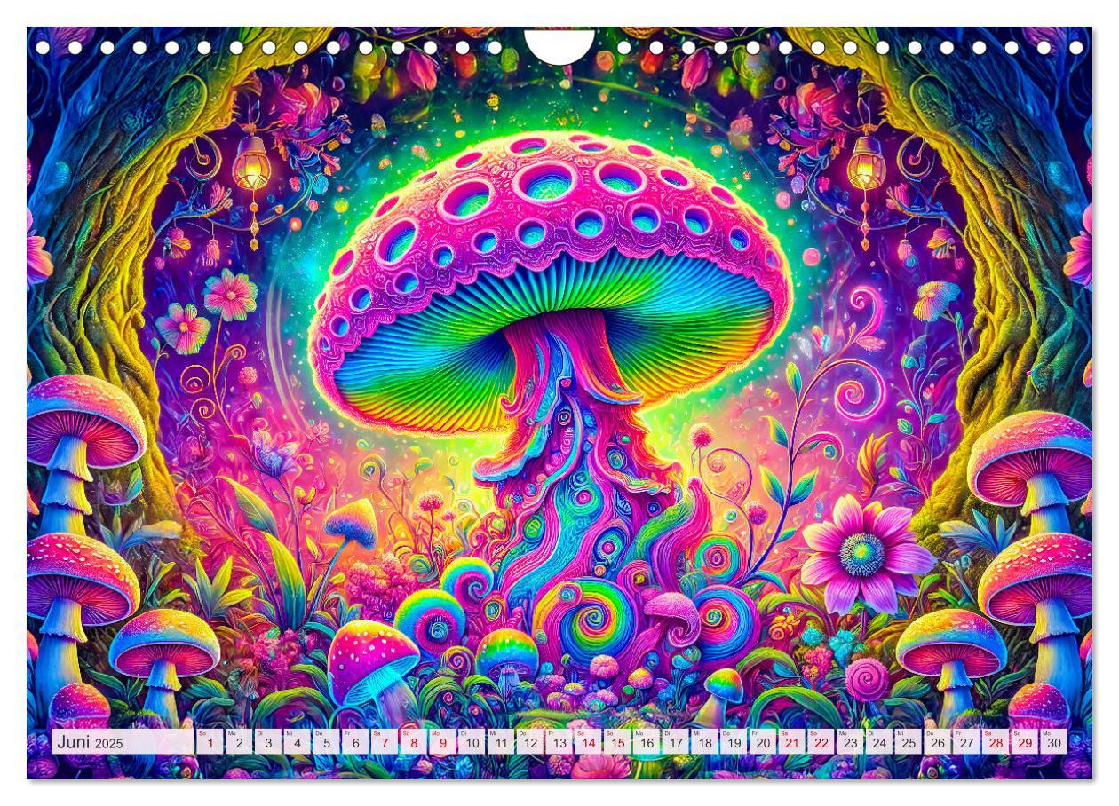 Bild: 9783457226582 | Psychedelische Pilze - Die bunte Welt der magischen Pilze...