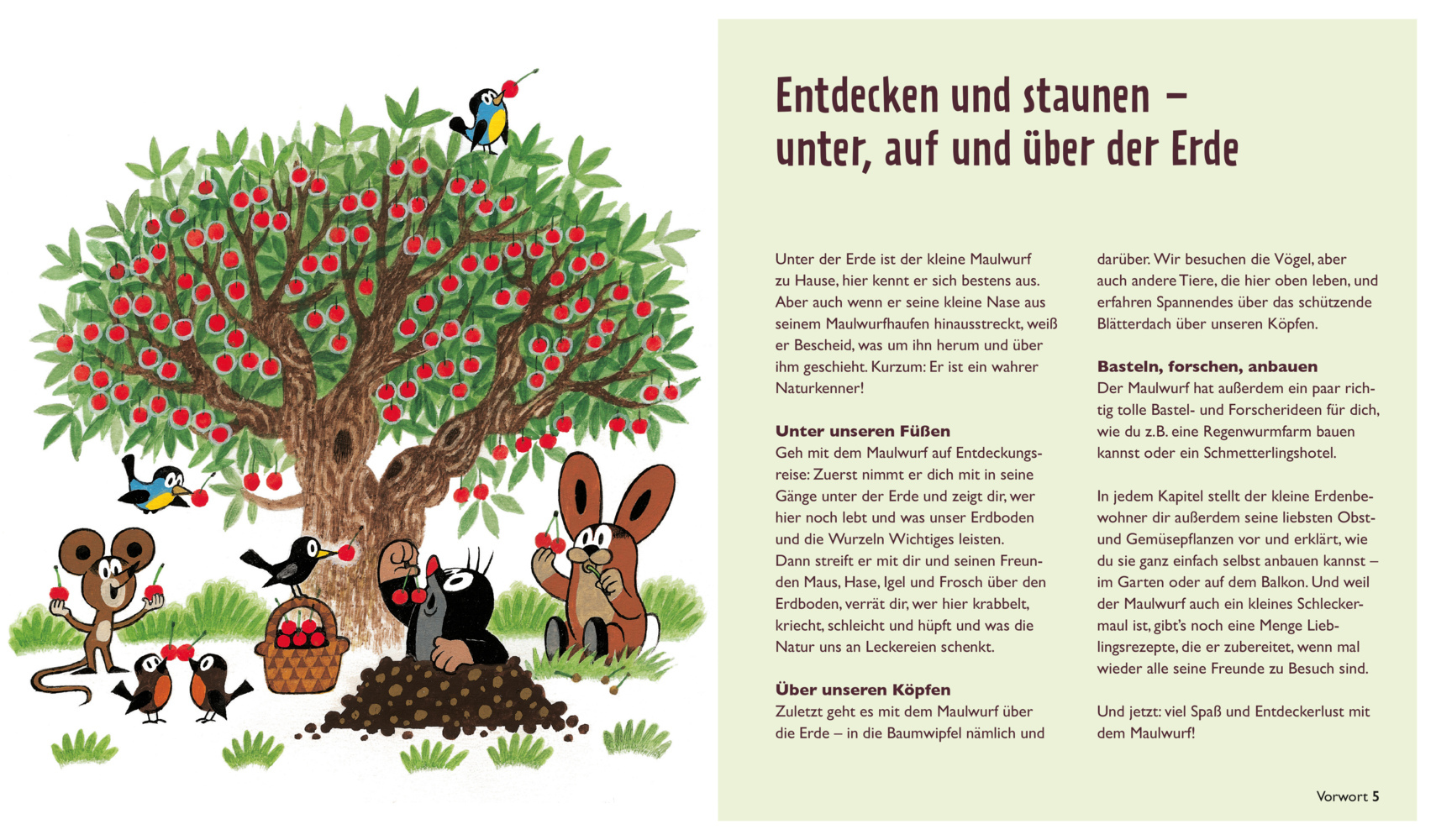 Bild: 9783965841994 | Der kleine Maulwurf: Über und unter der Erde | ZS-Team | Buch | 144 S.