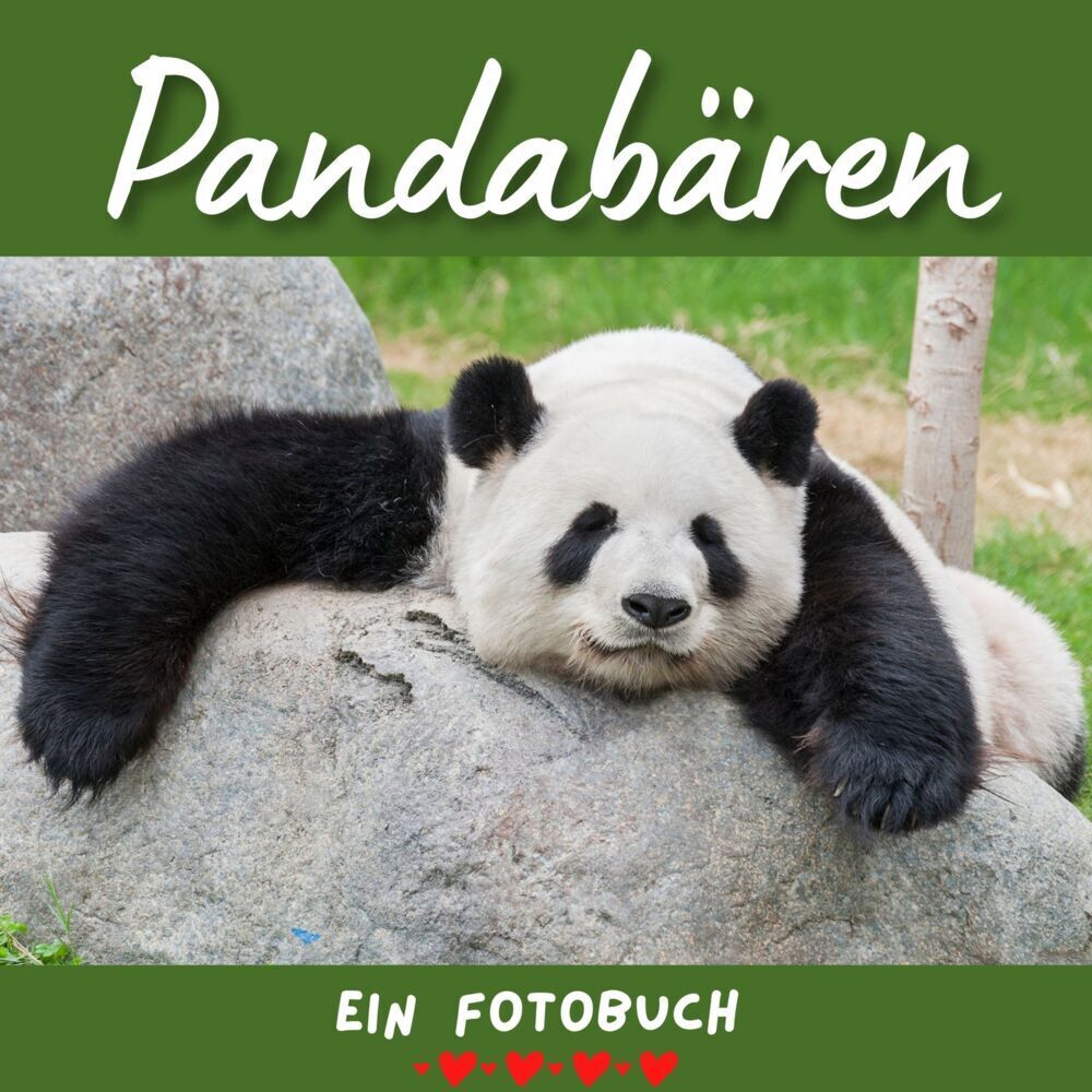 Cover: 9783750516045 | Pandabären | Bibi Hübsch | Taschenbuch | 42 S. | Deutsch | 2022