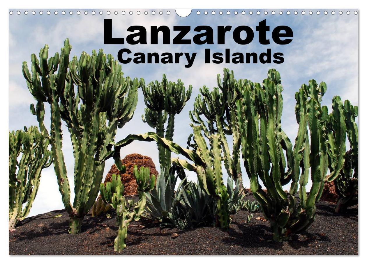 Cover: 9781325965960 | Lanzarote - Canary Islands (Wall Calendar 2025 DIN A3 landscape),...