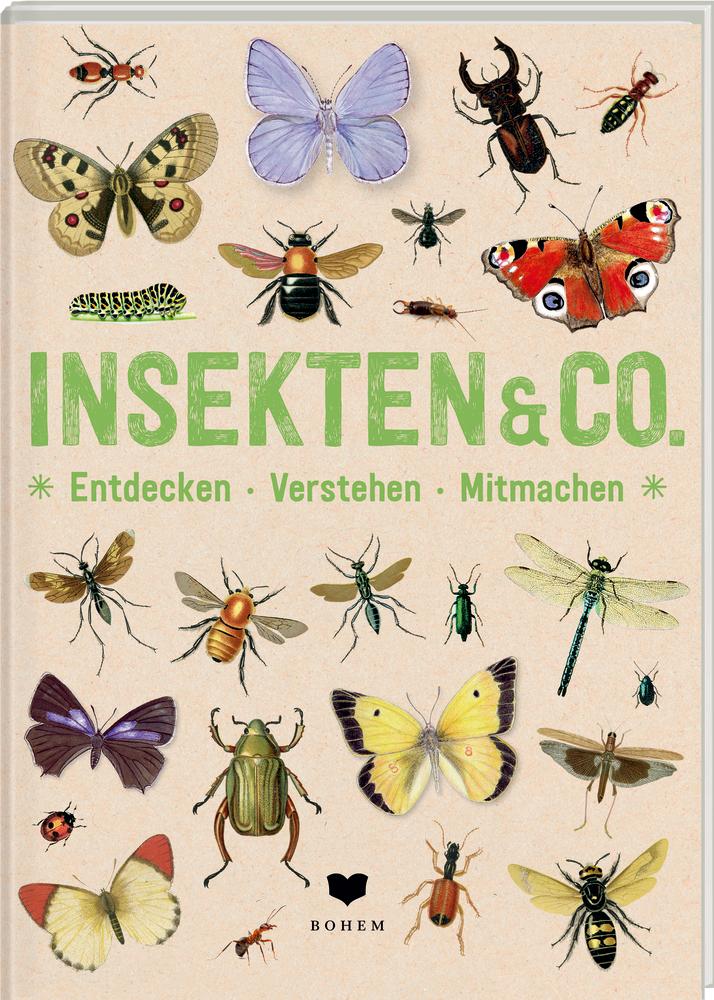 Cover: 9783959390958 | INSEKTEN &amp; Co. | Roots | Buch | 64 S. | Deutsch | 2021