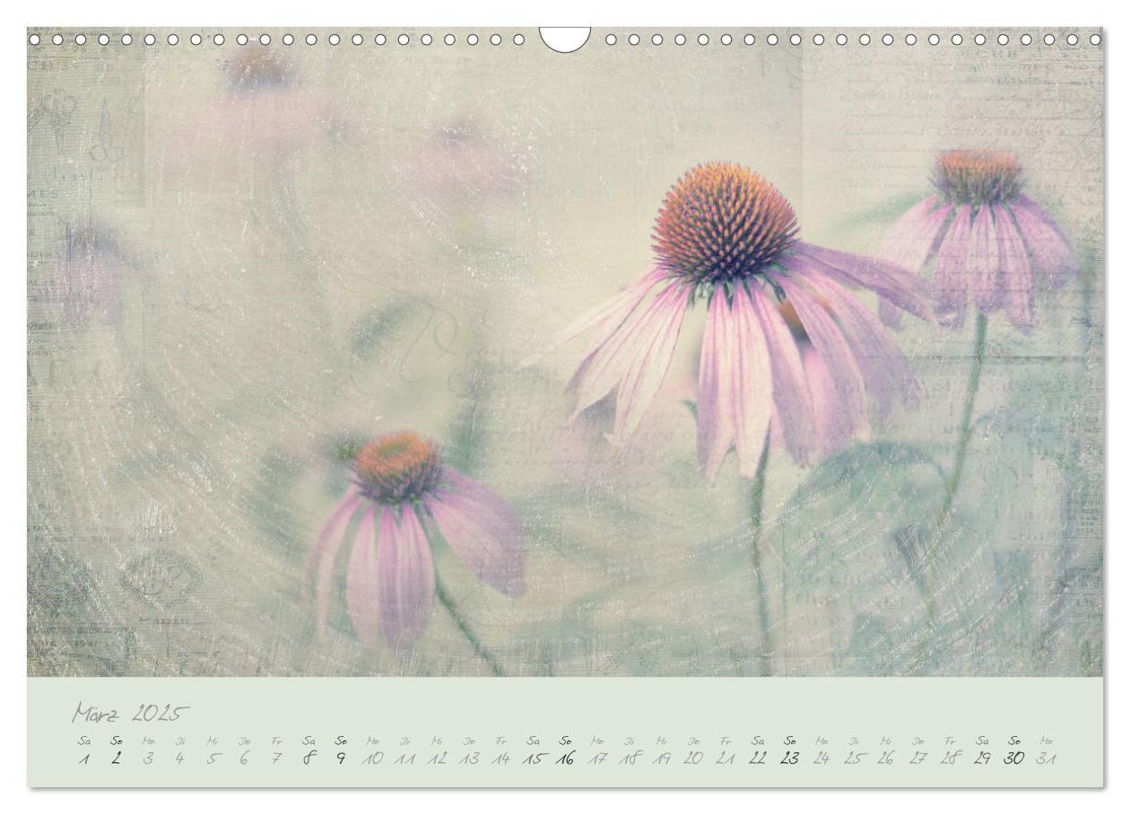 Bild: 9783435444045 | Shabby ist Chic (Wandkalender 2025 DIN A3 quer), CALVENDO...