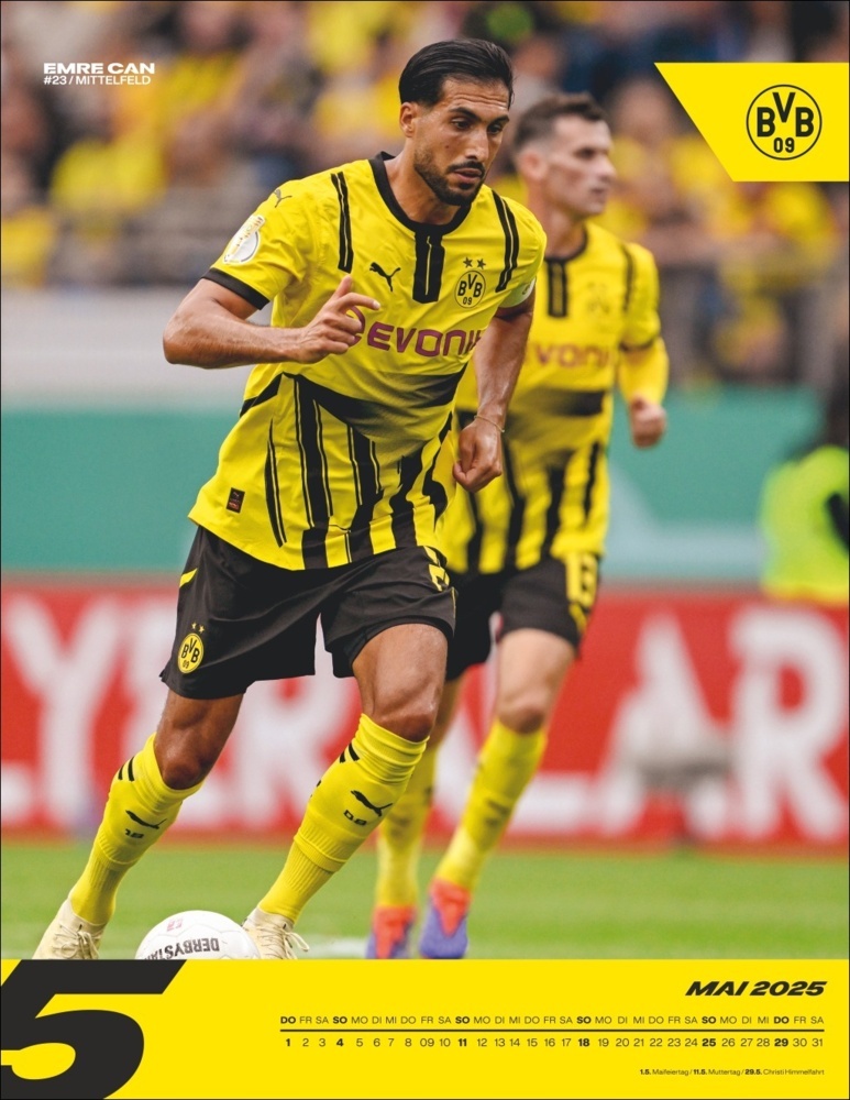 Bild: 9783756405435 | BVB Posterkalender 2025 | Kalender | Spiralbindung | 15 S. | Deutsch