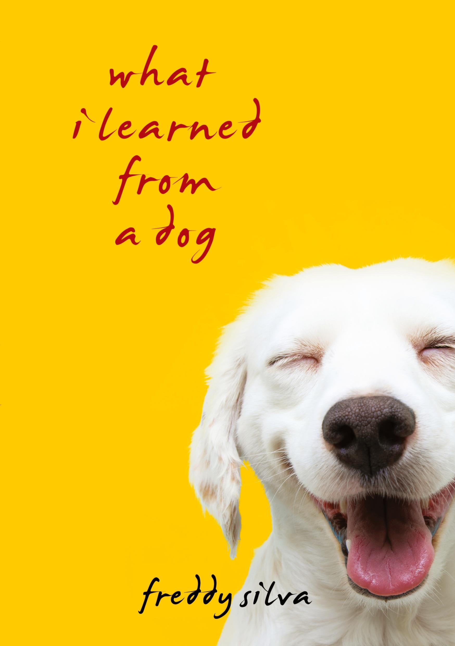 Cover: 9798218040390 | What I Learned From A Dog | Freddy Silva | Taschenbuch | Englisch