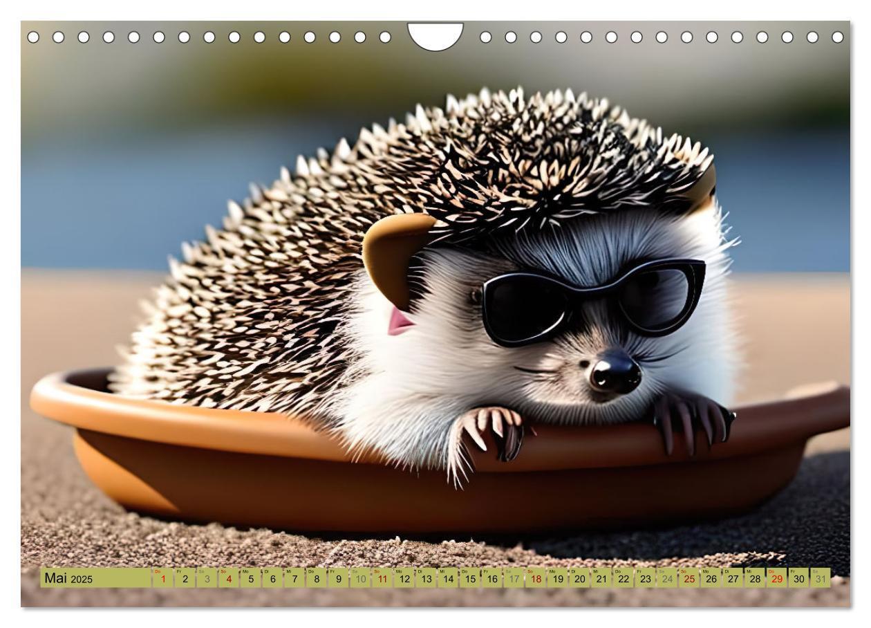 Bild: 9783383868696 | Igel-Abenteuer (Wandkalender 2025 DIN A4 quer), CALVENDO...