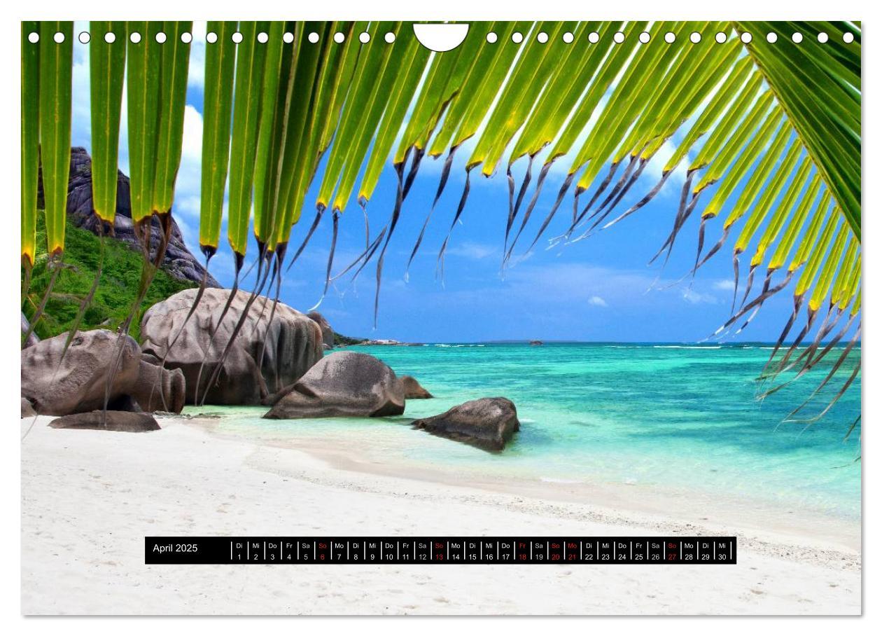 Bild: 9783435804450 | Seychellen (Wandkalender 2025 DIN A4 quer), CALVENDO Monatskalender