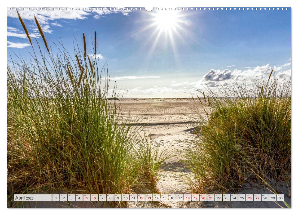 Bild: 9783435080410 | BORKUM-LIEBE (Wandkalender 2025 DIN A2 quer), CALVENDO Monatskalender