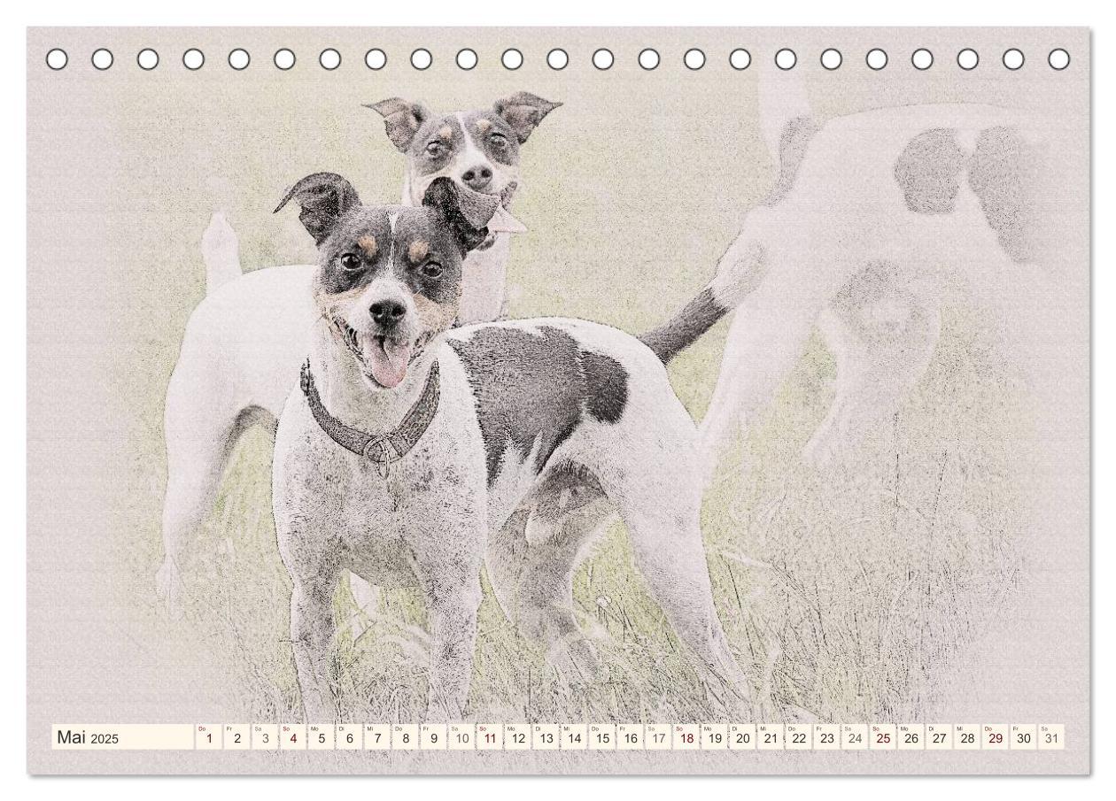 Bild: 9783435699872 | Bodeguero Andaluz 2025 (Tischkalender 2025 DIN A5 quer), CALVENDO...