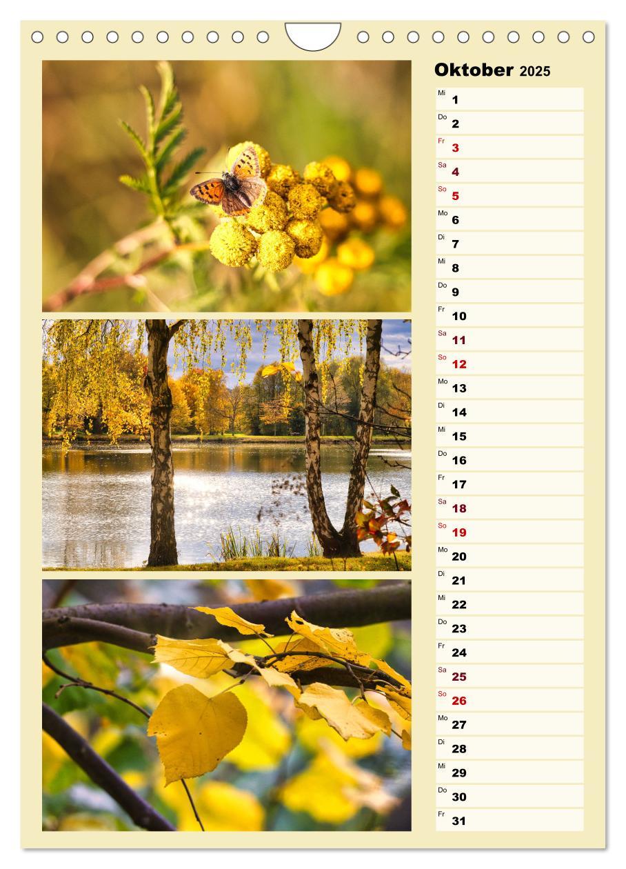 Bild: 9783457146224 | Harmonie der Farben in Landschaft und Natur (Wandkalender 2025 DIN...