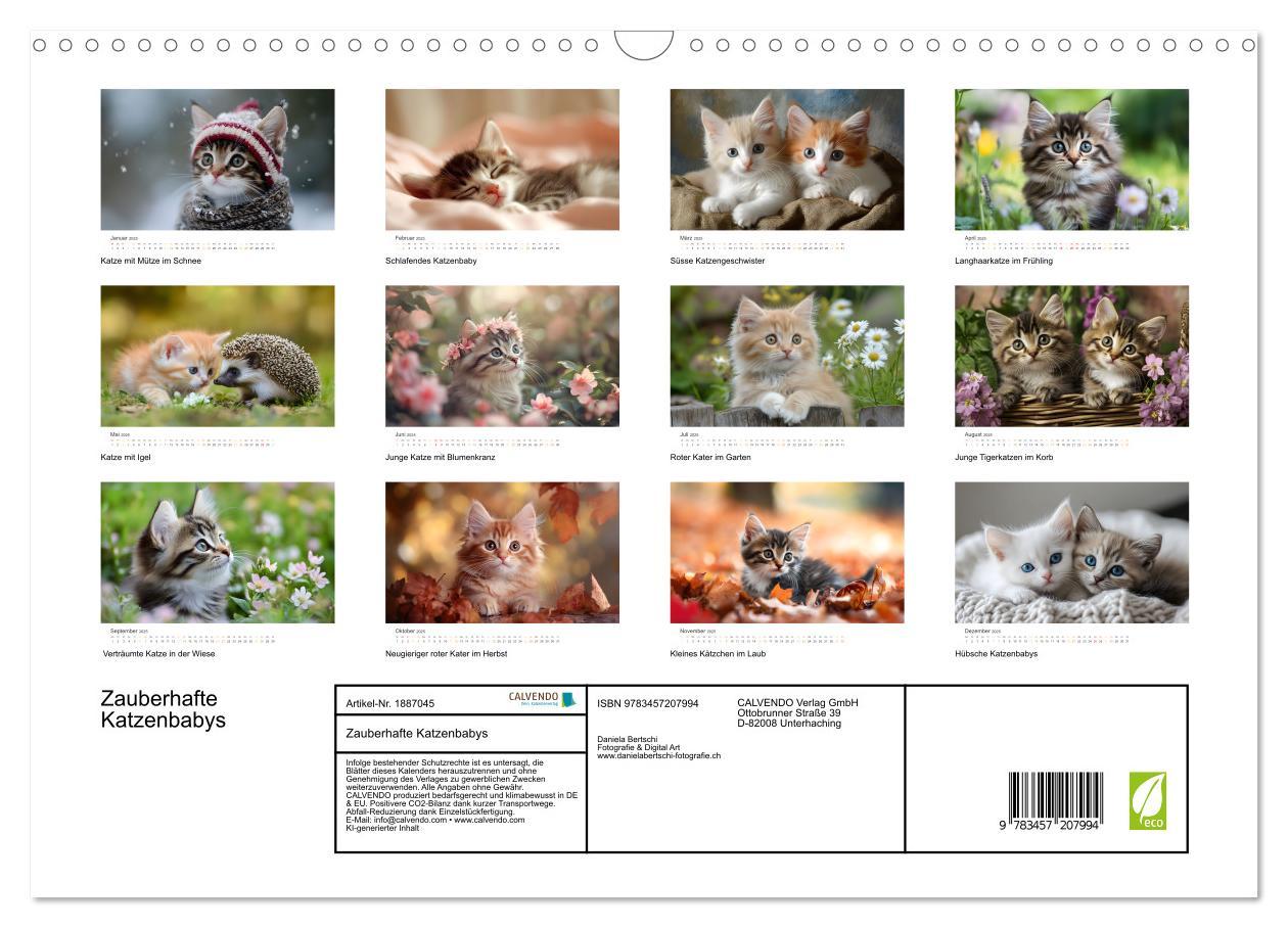 Bild: 9783457207994 | Zauberhafte Katzenbabys (Wandkalender 2025 DIN A3 quer), CALVENDO...