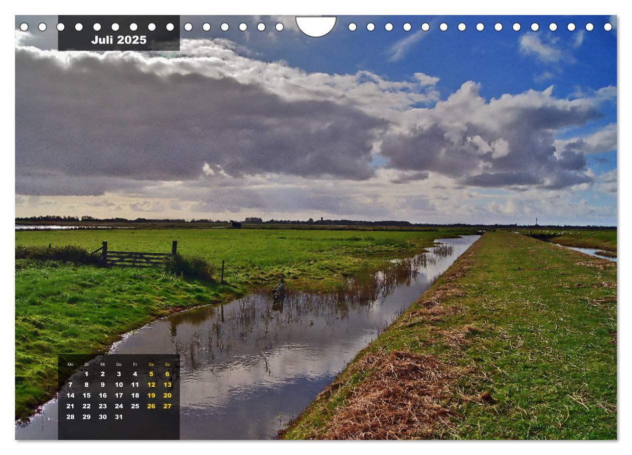 Bild: 9783435331802 | Texel Insel mit Charakter (Wandkalender 2025 DIN A4 quer), CALVENDO...