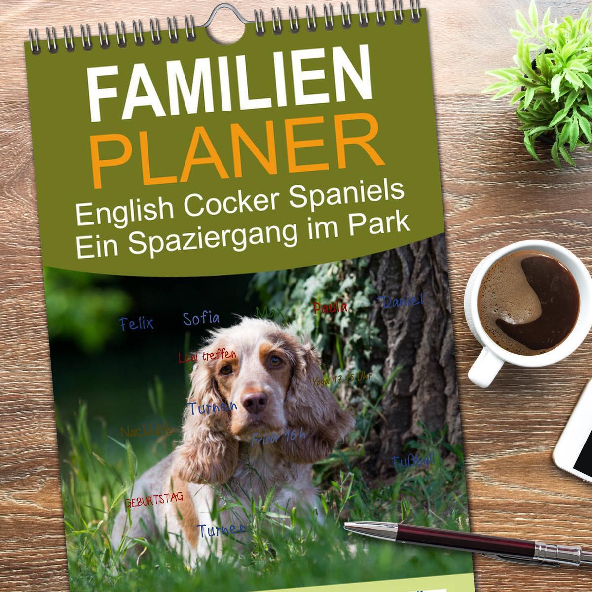 Bild: 9783457114216 | Familienplaner 2025 - English Cocker Spaniels - Ein Spaziergang im...