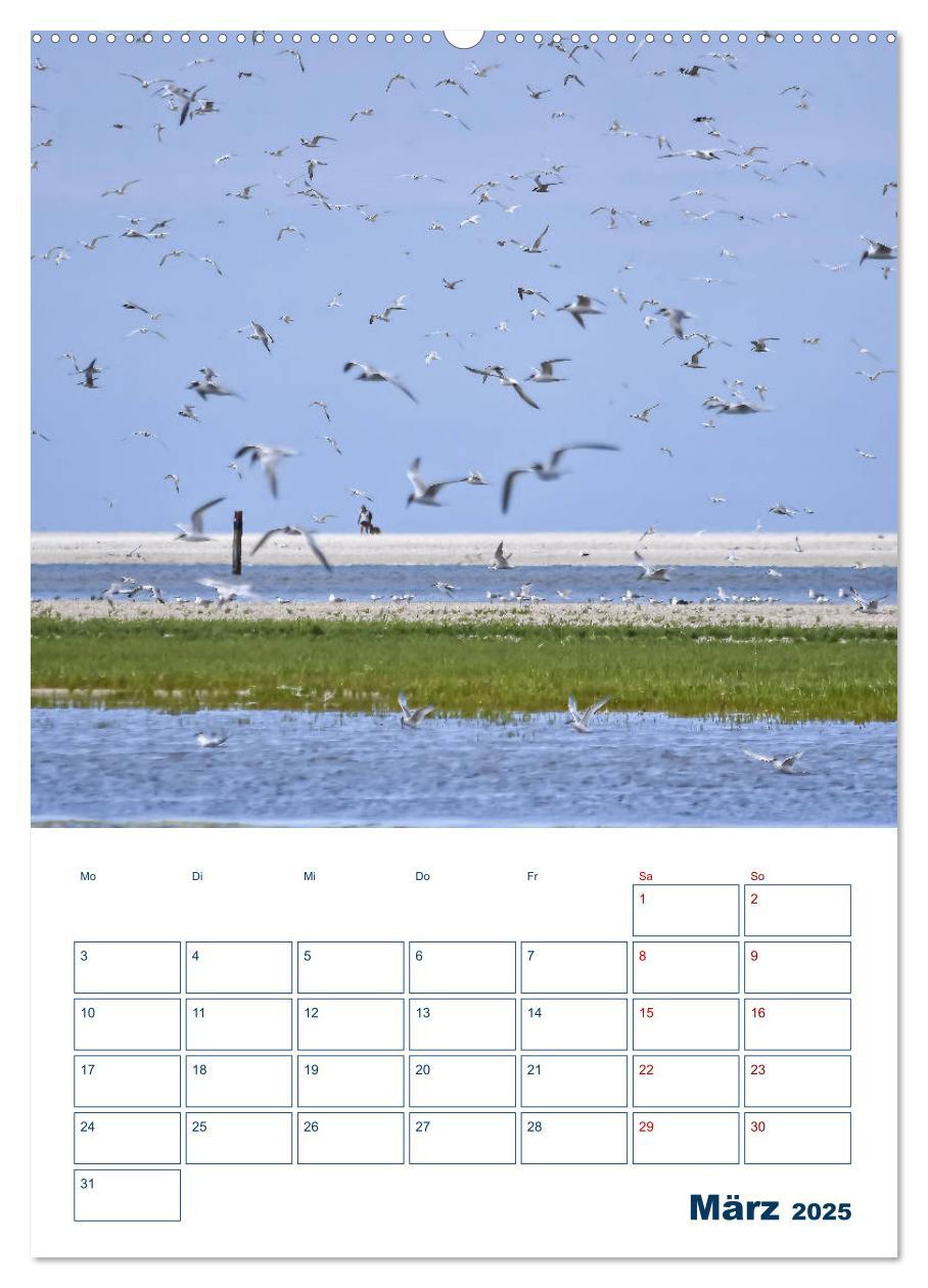 Bild: 9783435984206 | Texel - Momente die verzaubern (Wandkalender 2025 DIN A2 hoch),...