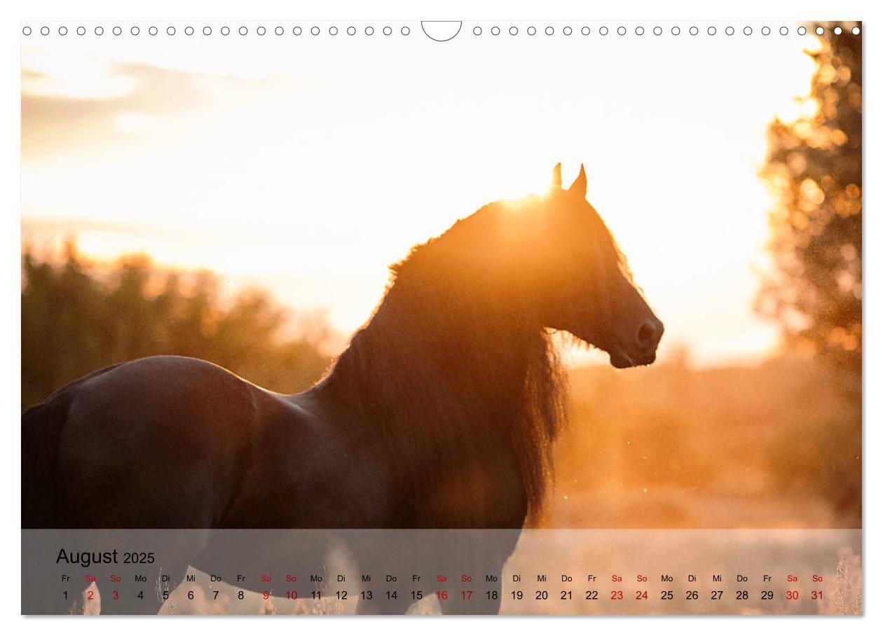 Bild: 9783435289325 | Pferdezauber 2025 (Wandkalender 2025 DIN A3 quer), CALVENDO...