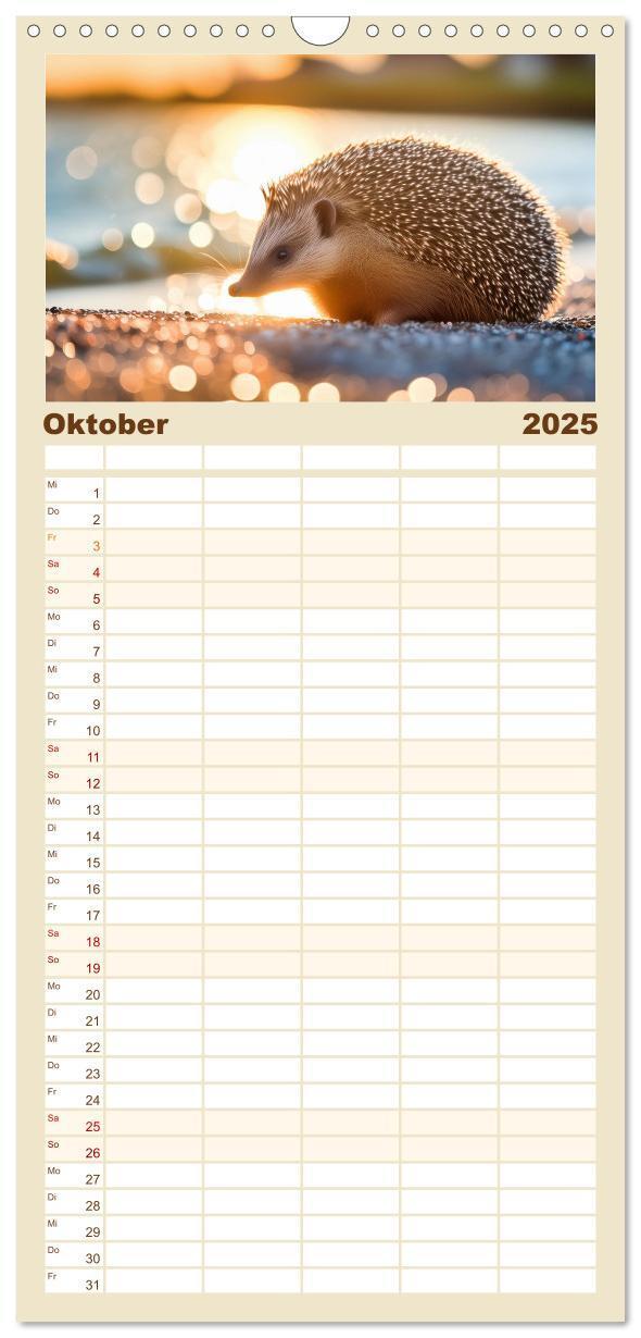 Bild: 9783457193037 | Familienplaner 2025 - Mein Igel-Kalender mit 5 Spalten...