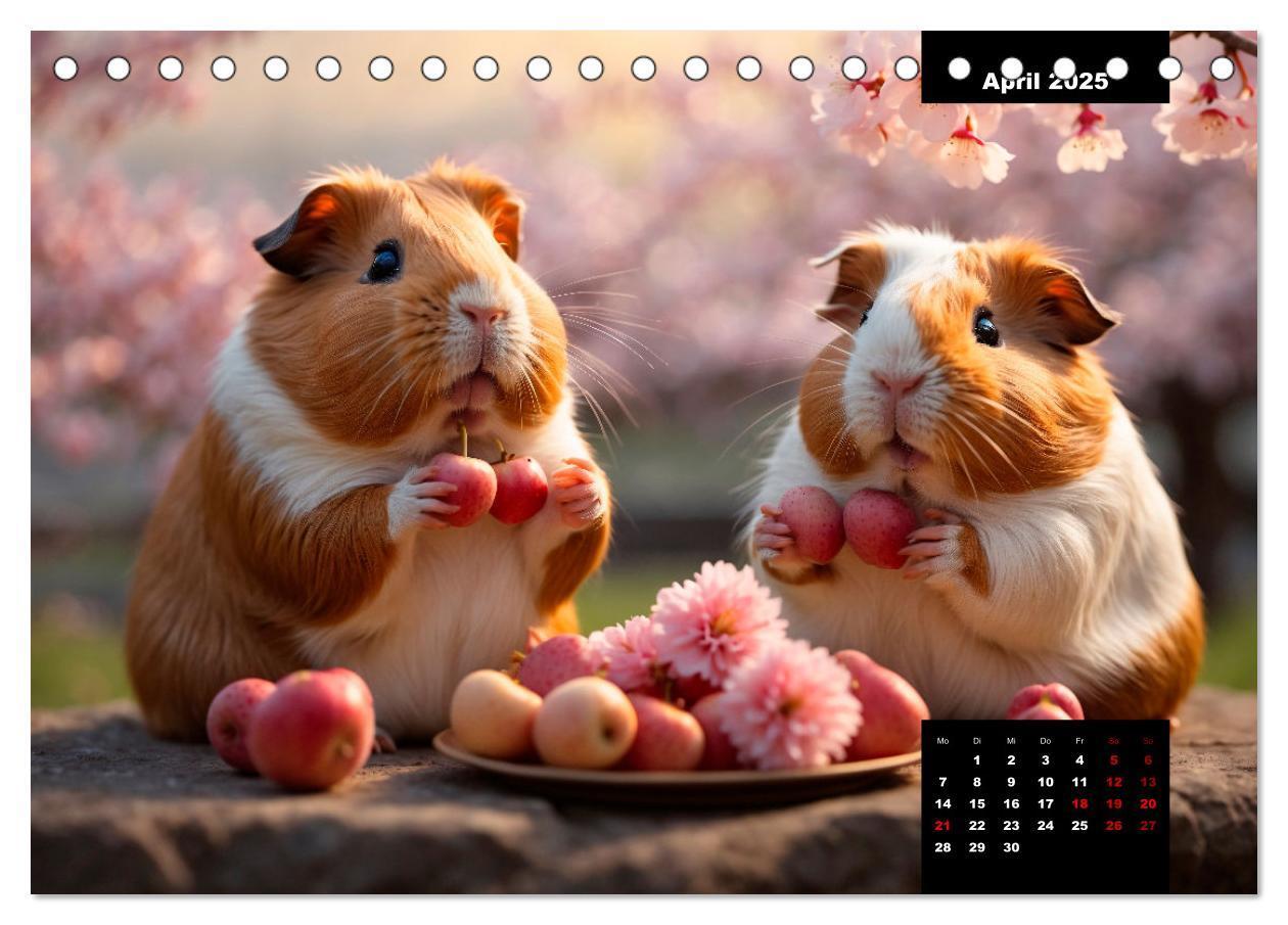 Bild: 9783435013135 | Meerschweinchen mal anders! (Tischkalender 2025 DIN A5 quer),...