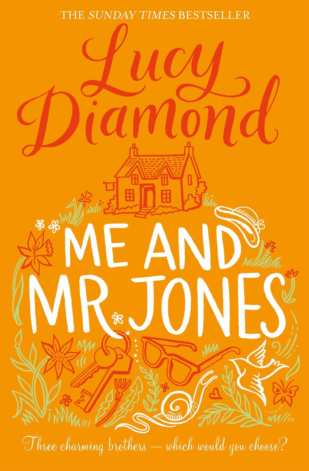 Cover: 9781509811083 | Me and Mr Jones | Lucy Diamond | Taschenbuch | Kartoniert / Broschiert