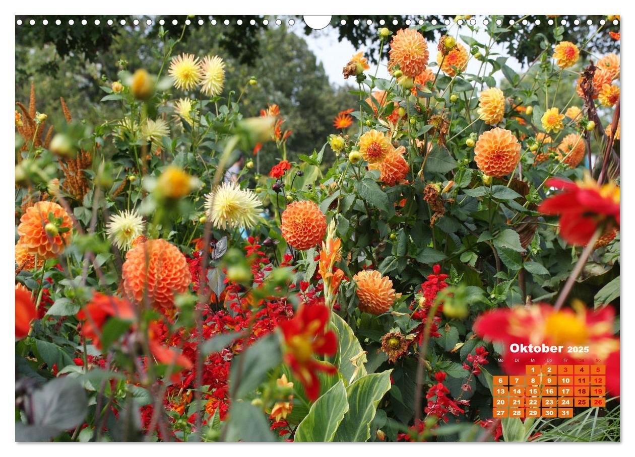 Bild: 9783383989124 | Urlaub im Garten (Wandkalender 2025 DIN A3 quer), CALVENDO...