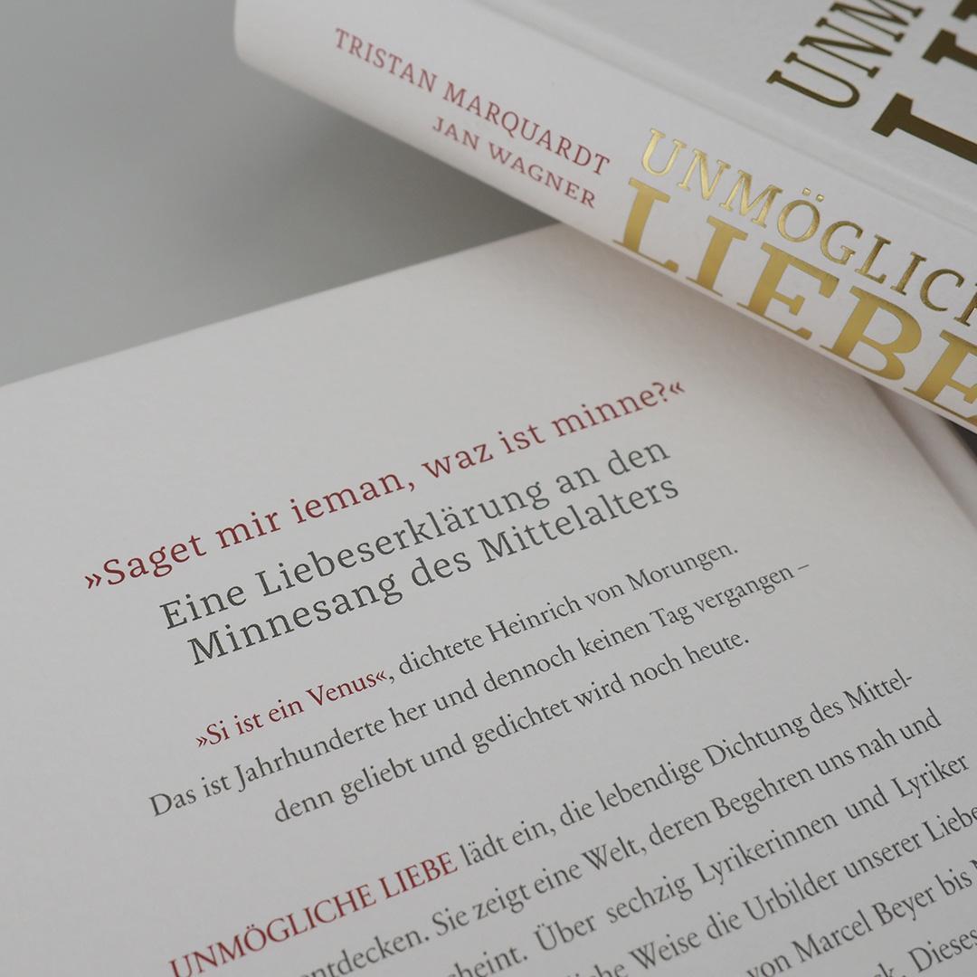 Bild: 9783446256545 | Unmögliche Liebe | Jan Wagner (u. a.) | Buch | 304 S. | Deutsch | 2017