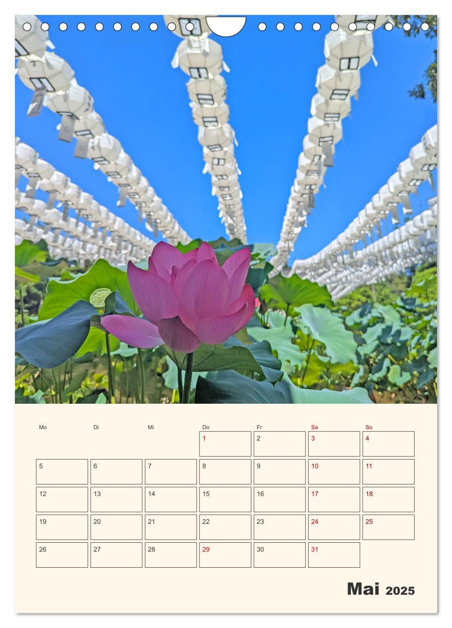 Bild: 9783457205280 | Entdecke Seoul (Wandkalender 2025 DIN A4 hoch), CALVENDO...