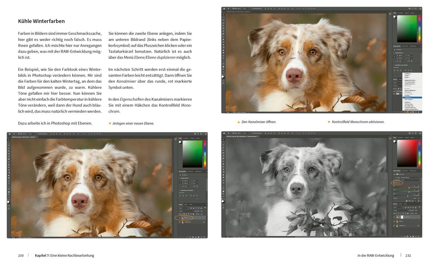 Bild: 9783832804909 | Hunde fotografieren - Kreative Bilder mit "Wau-Effekt" | Heuser Regine