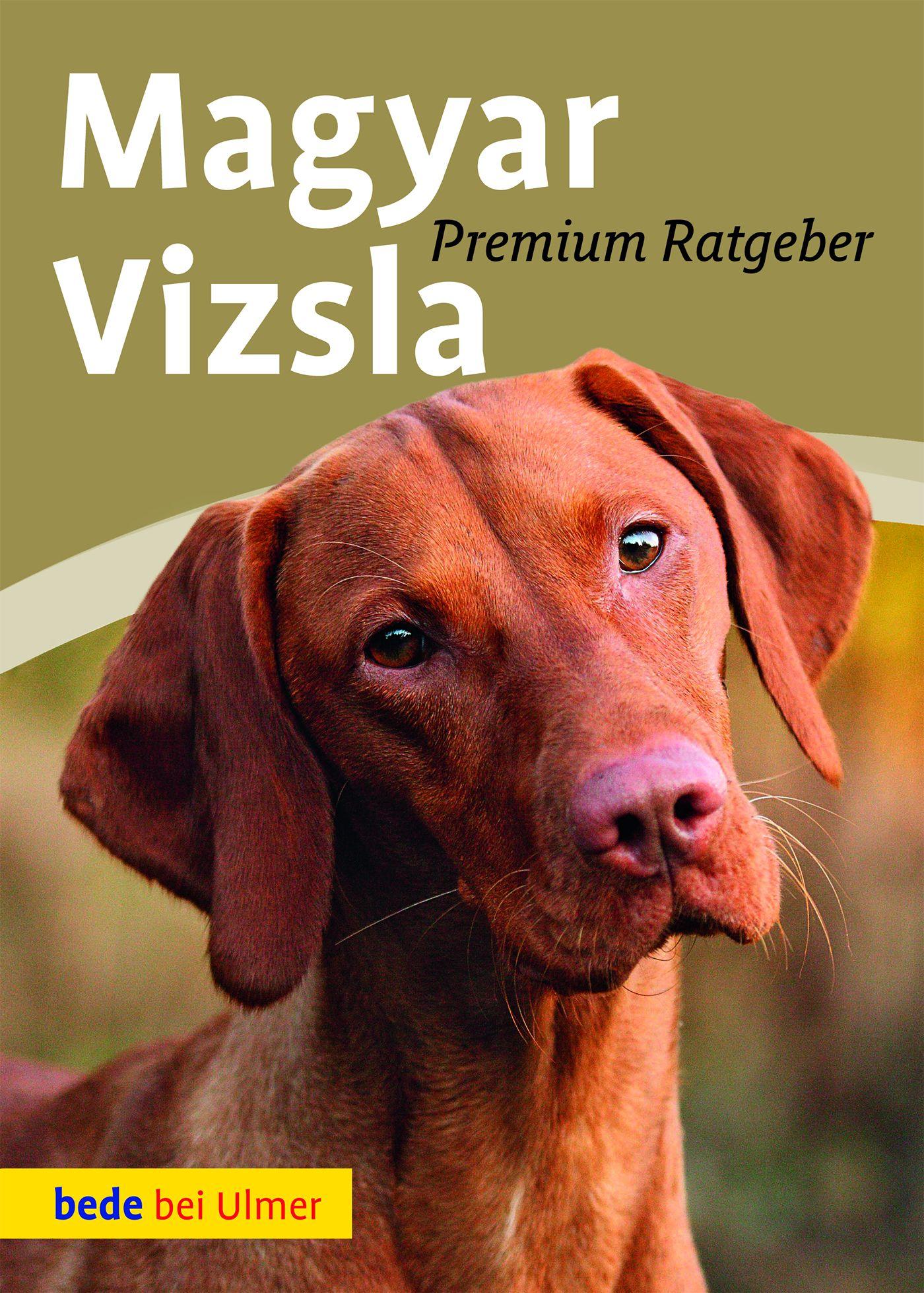 Cover: 9783800177394 | Magyar Vizsla | Annette Schmitt | Buch | bede bei Ulmer | 128 S.