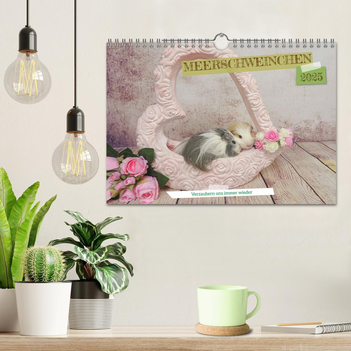 Bild: 9783435092963 | MEERSCHWEINCHEN verzaubern uns immer wieder (Wandkalender 2025 DIN...