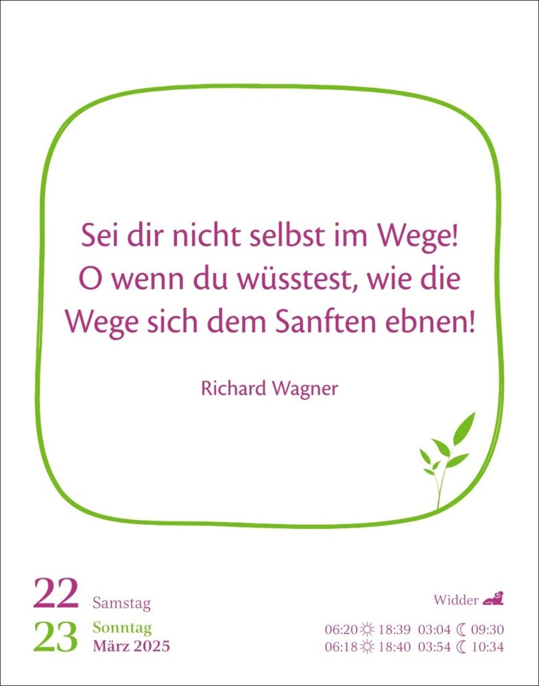 Bild: 9783840034879 | Heute ist dein Tag! Tagesabreißkalender 2025 - 313 positive Zitate...