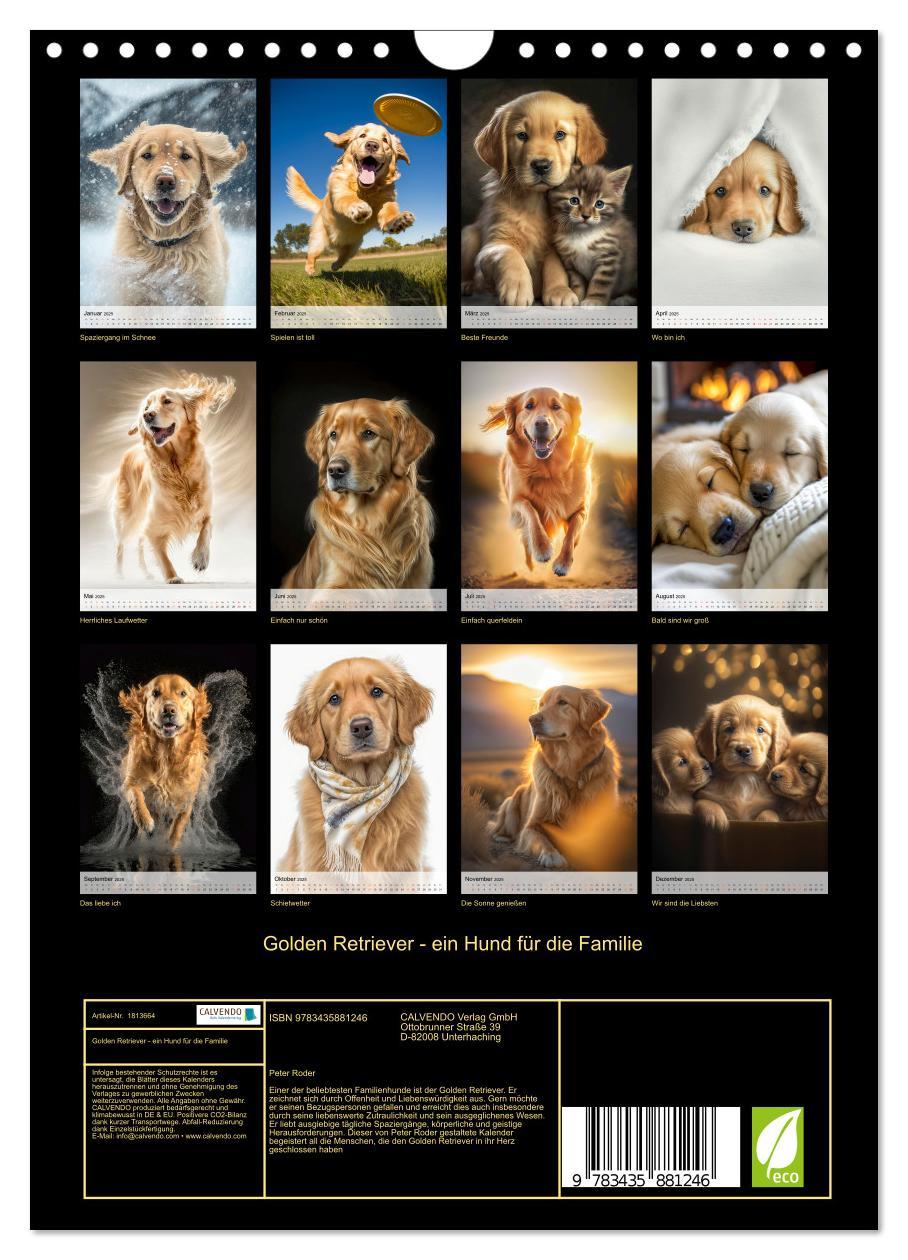 Bild: 9783435881246 | Golden Retriever - ein Hund für die Familie (Wandkalender 2025 DIN...