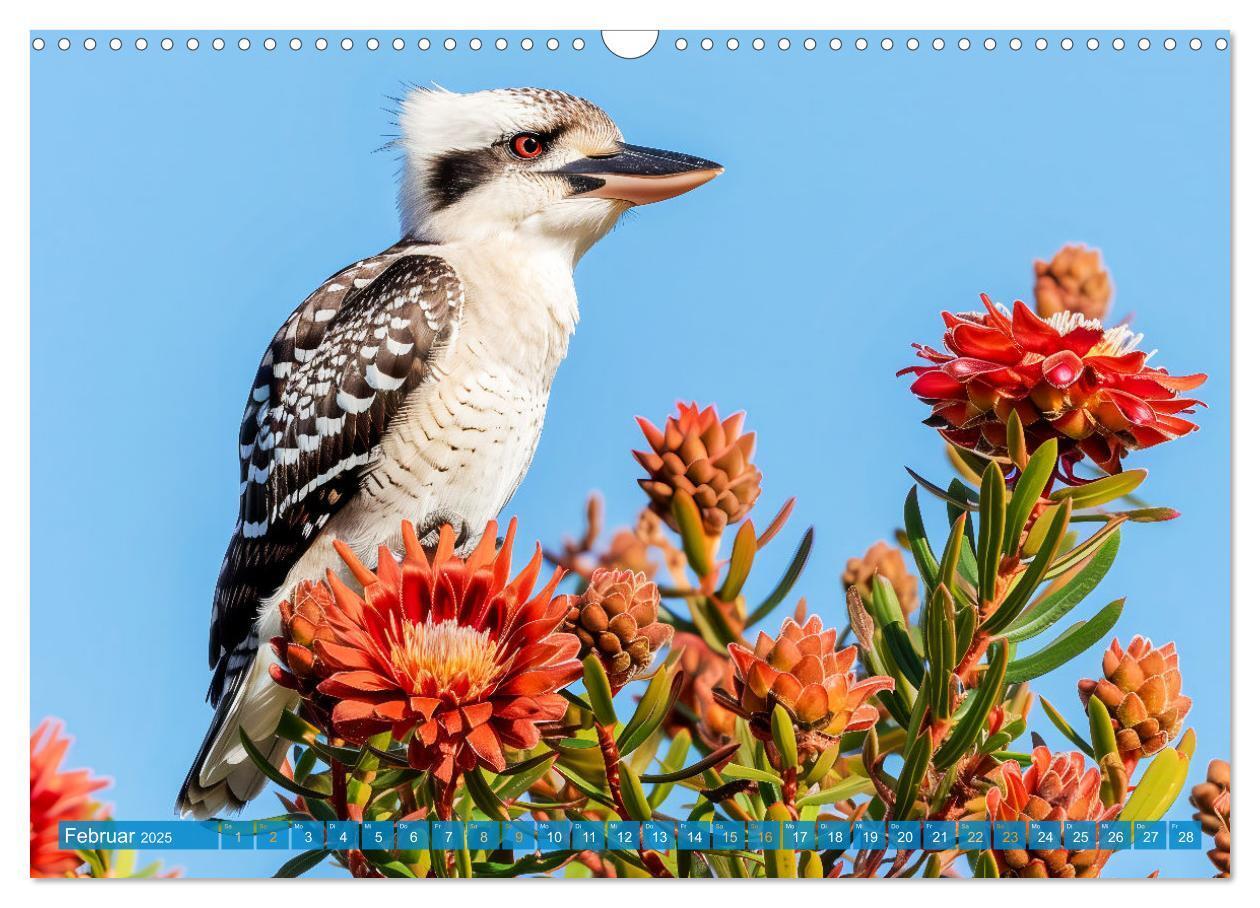 Bild: 9783383777899 | Der Kookaburra - Im australischen Busch mit dem lachenden Hans...