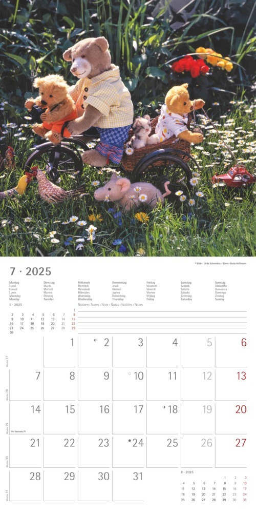 Bild: 4251732340643 | Alpha Edition - Teddy 2025 Broschürenkalender, 30x30cm,...