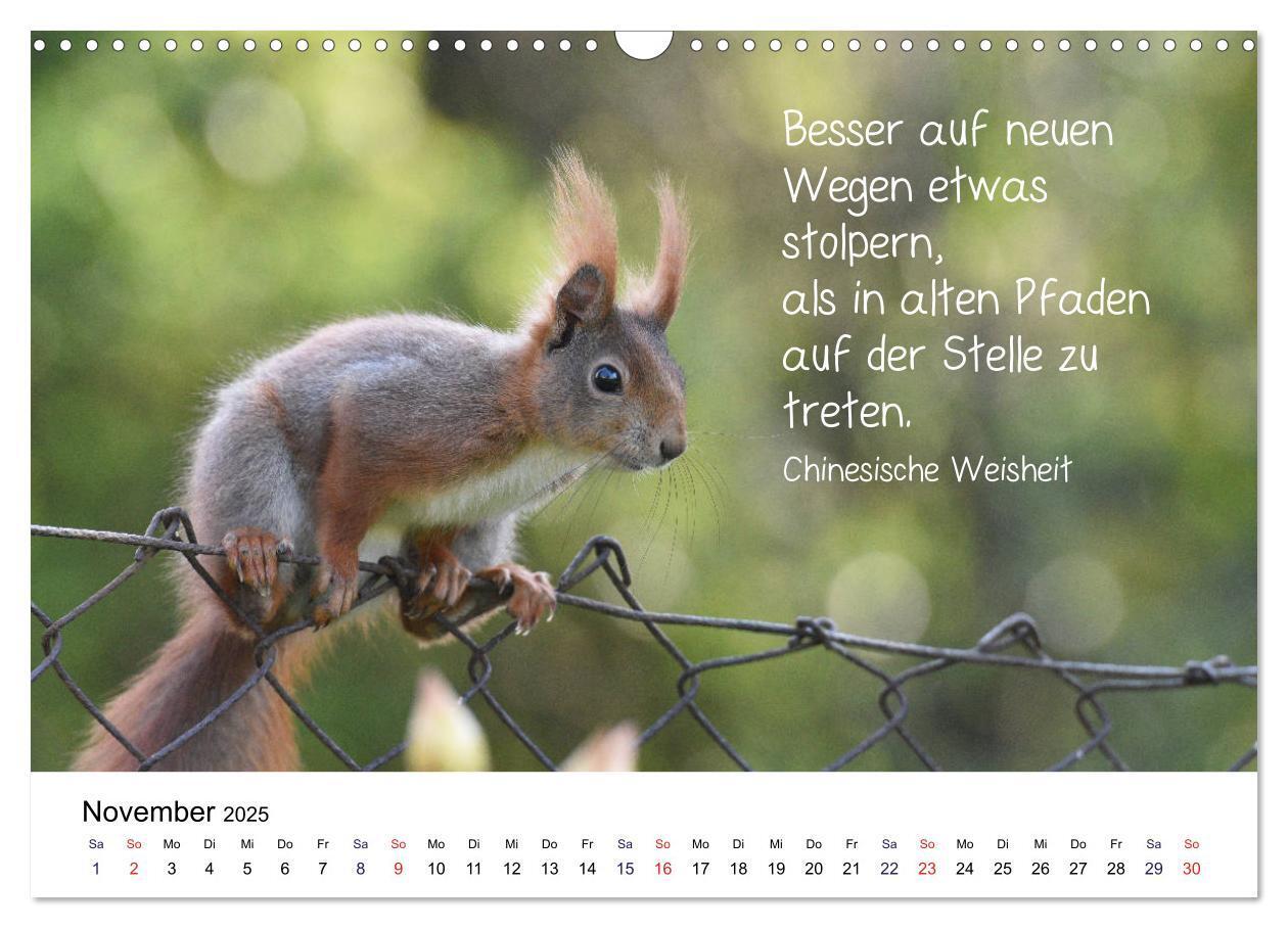 Bild: 9783435433926 | Der literarische Eichhörnchen-Kalender (Wandkalender 2025 DIN A3...