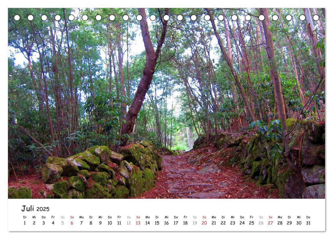 Bild: 9783435557059 | Jakobsweg - Camino Portugues (Tischkalender 2025 DIN A5 quer),...