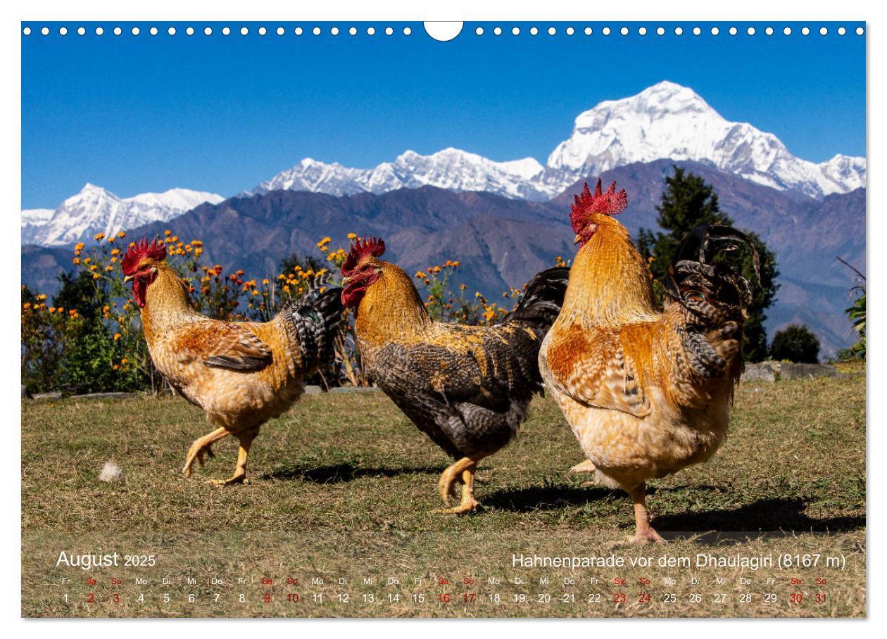 Bild: 9783435149346 | NEPAL - rund um die Annapurna (Wandkalender 2025 DIN A3 quer),...