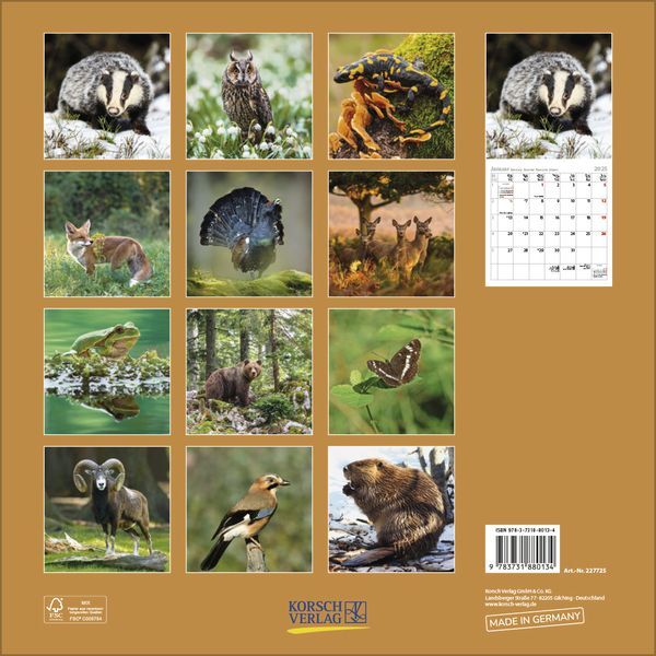 Bild: 9783731880134 | Tiere des Waldes 2025 | Korsch Verlag | Kalender | Englisch Broschur