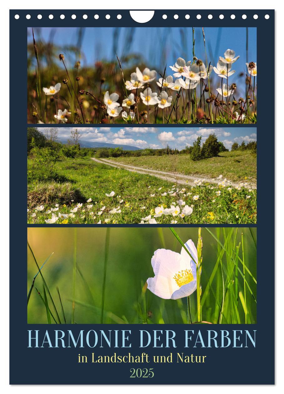 Cover: 9783457146224 | Harmonie der Farben in Landschaft und Natur (Wandkalender 2025 DIN...