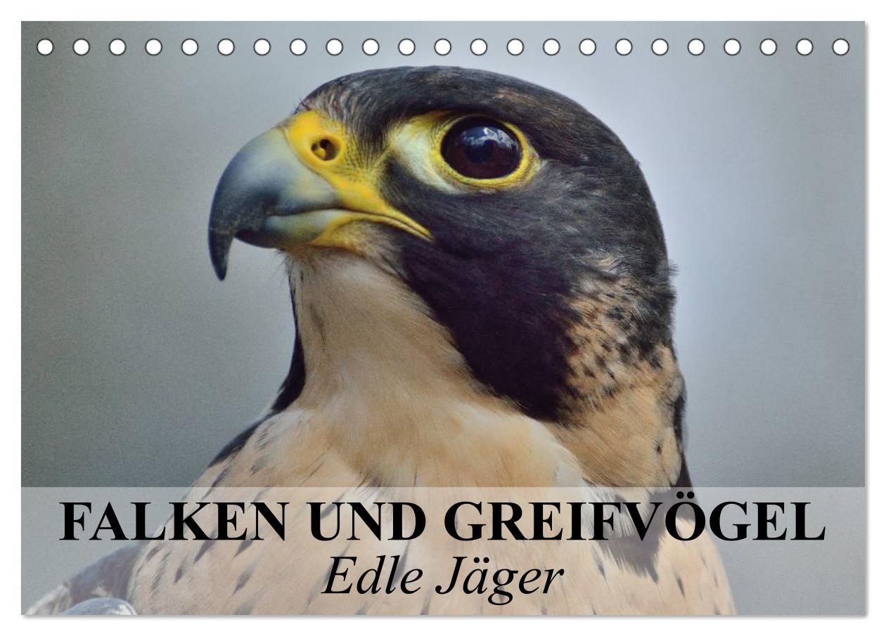 Cover: 9783435650330 | Falken und Greifvögel. Edle Jäger (Tischkalender 2025 DIN A5 quer),...