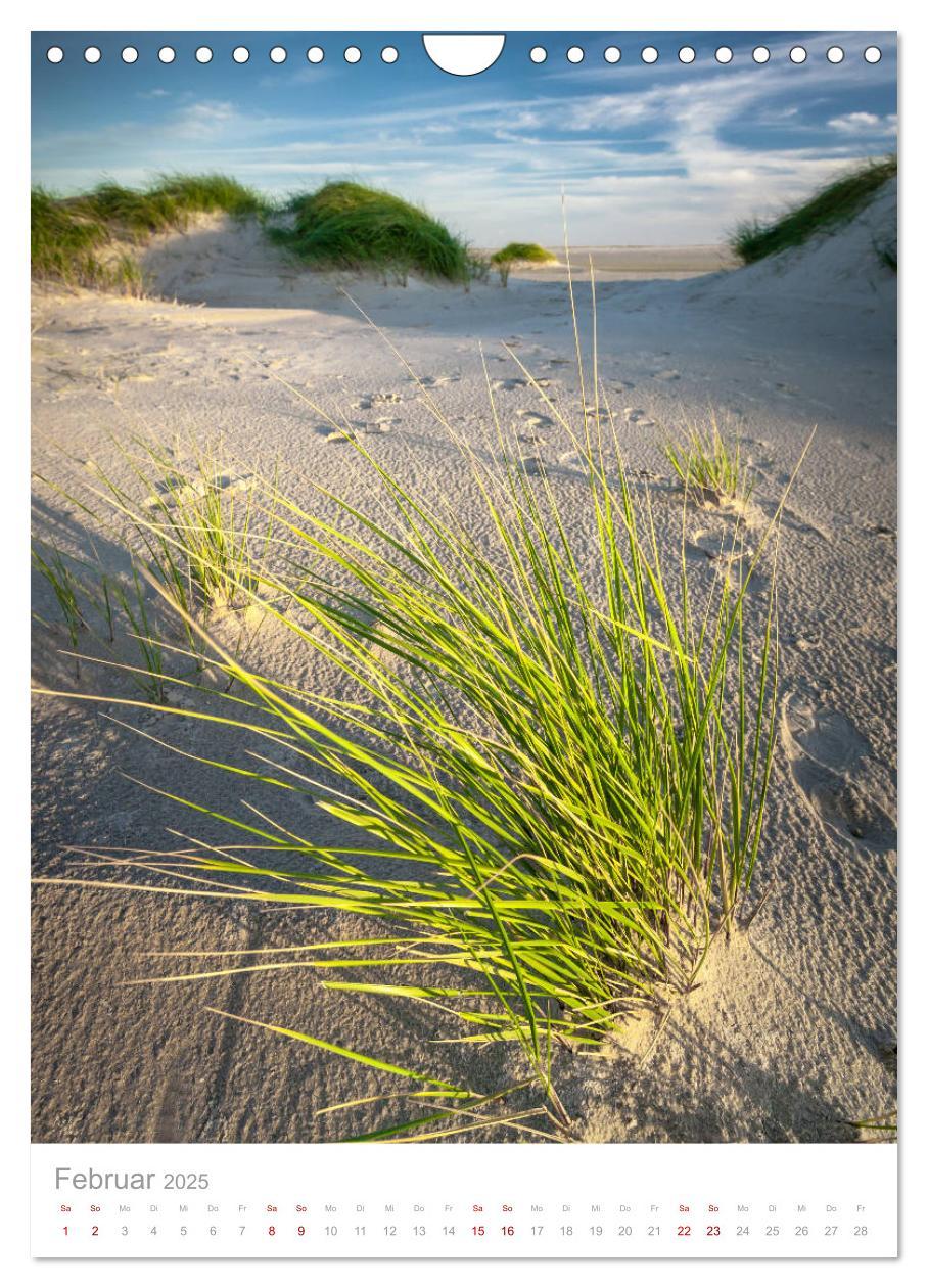 Bild: 9783435961856 | Amrum - Das Gesicht der Nordsee (Wandkalender 2025 DIN A4 hoch),...