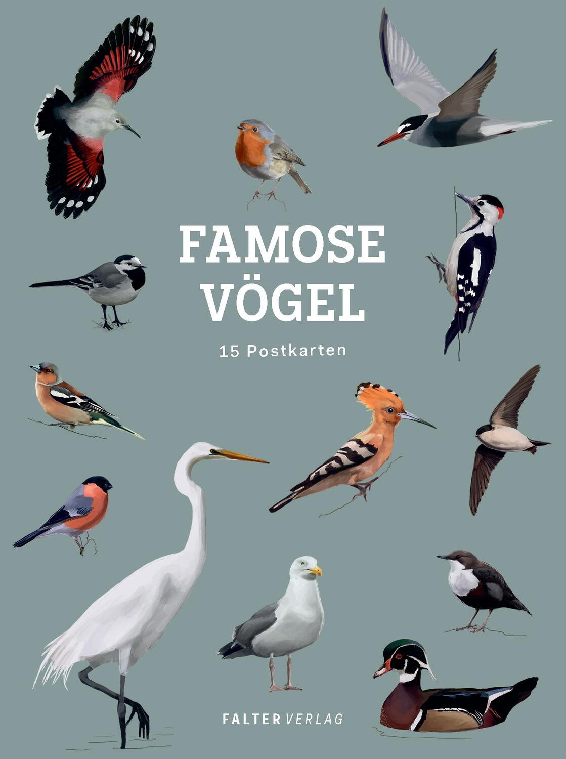 Cover: 9783854399995 | Famose Vögel | 15 Postkarten | Taschenbuch | 32 S. | Deutsch | 2024