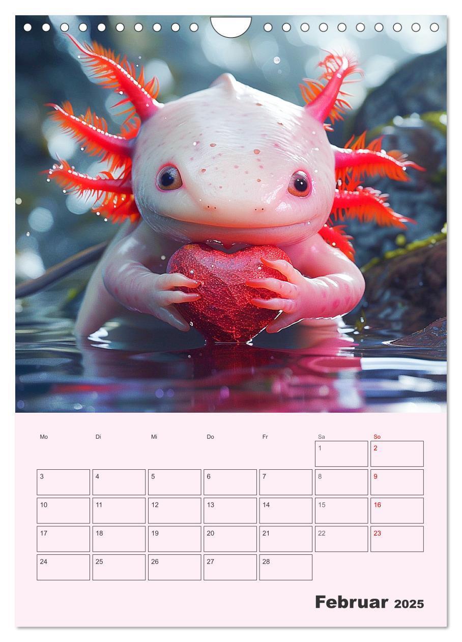 Bild: 9783383807602 | Axolotl. Lustiger Schwanzlurch mit Superkräften (Wandkalender 2025...