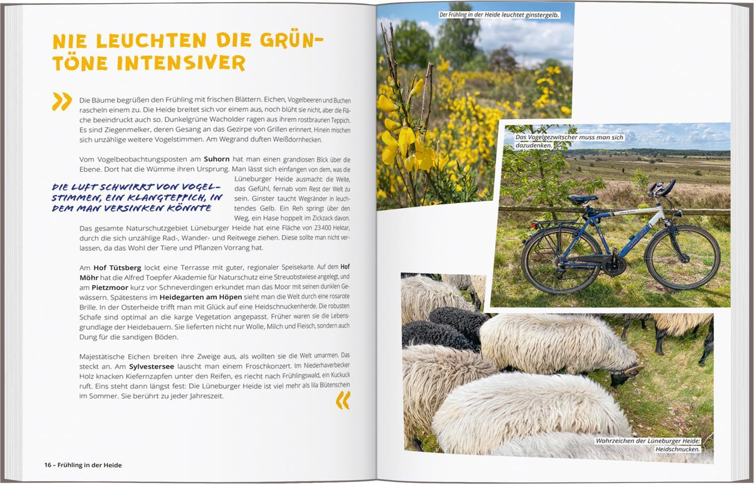 Bild: 9783616032788 | DuMont Radelzeit in der Lüneburger Heide | Alexandra Schlüter | Buch