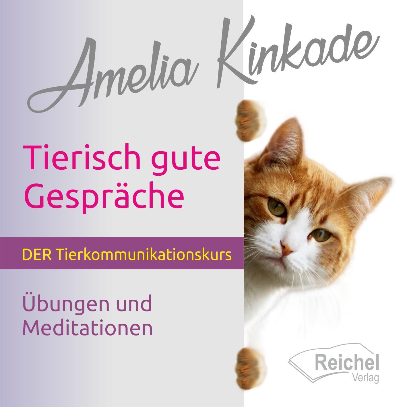 Cover: 9783946959908 | Tierisch gute Gespräche | Amelia Kinkade | Audio-CD | 76 Min. | 2021