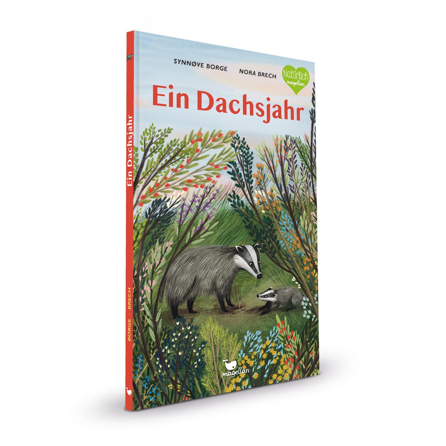 Bild: 9783734860522 | Ein Dachsjahr | Synnøve Borge | Buch | 40 S. | Deutsch | 2023